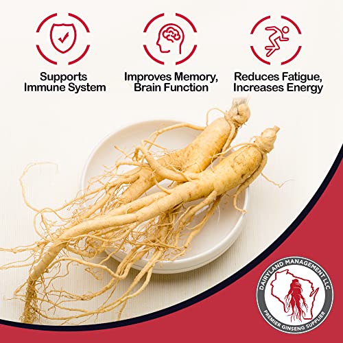 Fresh American Ginseng, supports immune system, Impoves Memory and Brain Function, Reduces Fatigue and Increase Energy. 