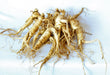 Ginseng Rootlets for planting. Roots are 4 years old
